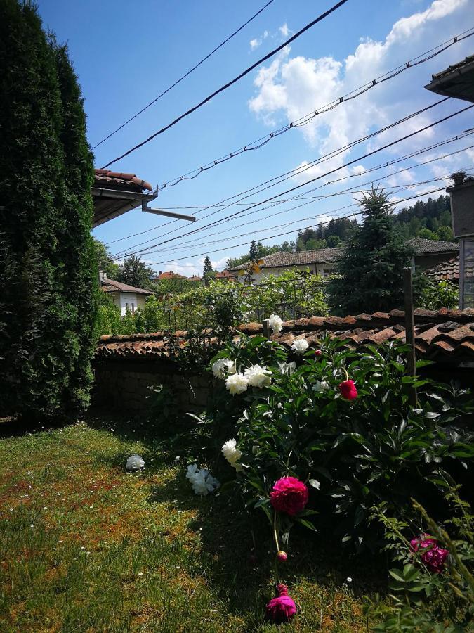 Къща За Гости Роден Край Elena Exterior photo